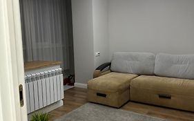 Comfortable Apartment In Almaty